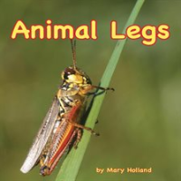 Animal_Legs